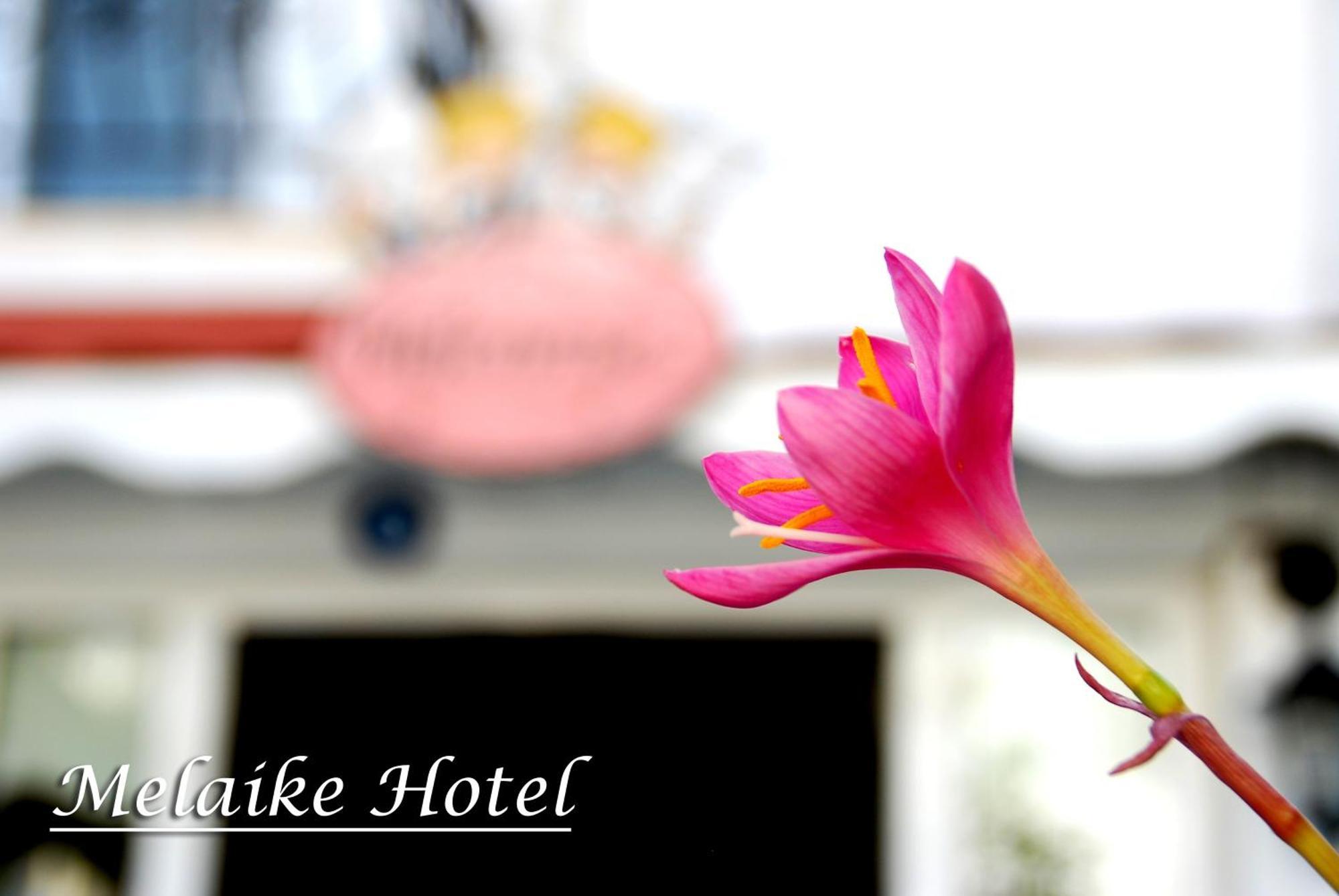 Melaike Hotel Foça Exteriör bild
